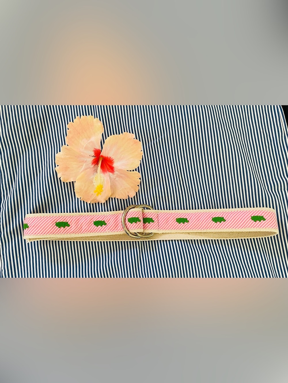 J. Crew Pink Striped Belt with Green Embroidered Hippo and Silver Rings - Picture 14 of 14